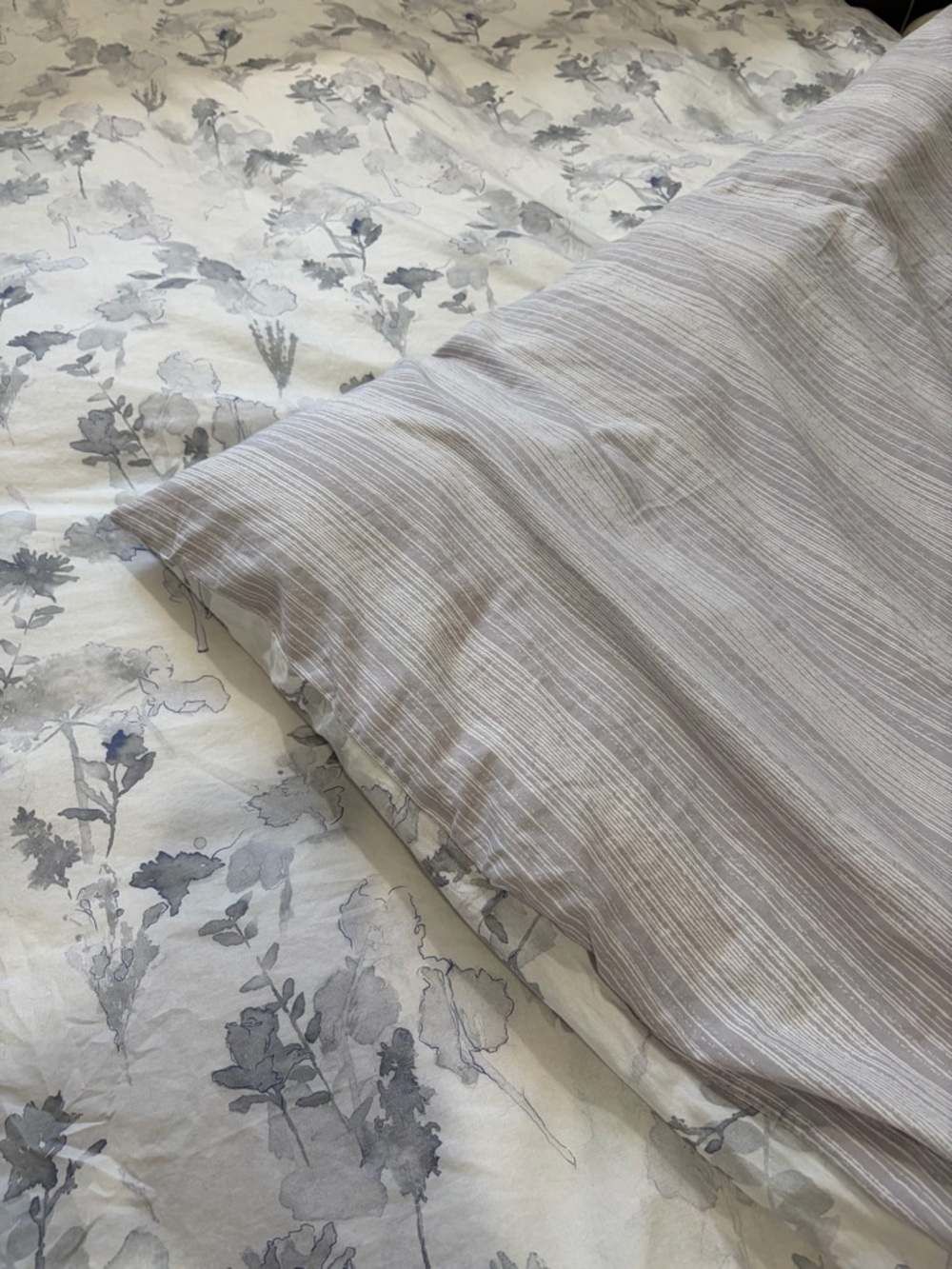 The Bay Distinctly Home 100% Queen Size Duvet Cover & Sham Set